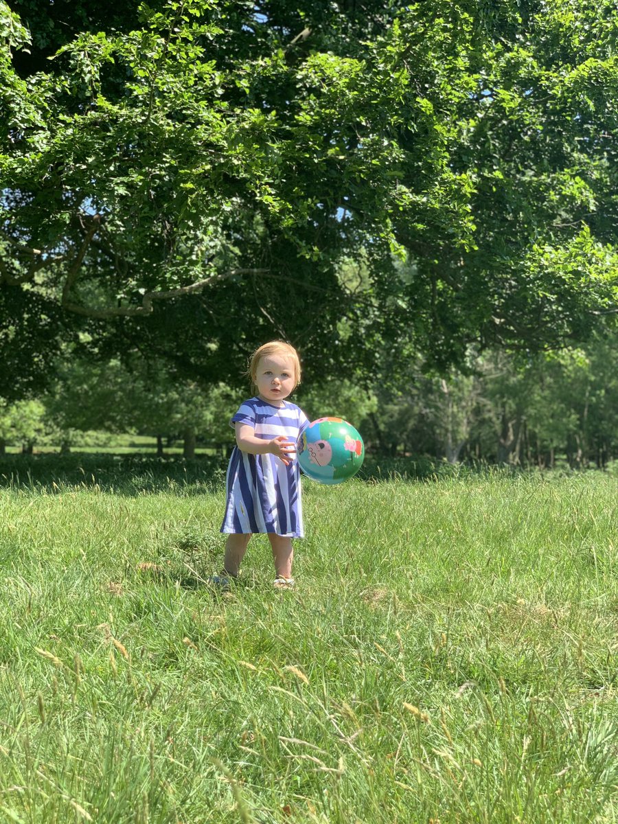 GraceTaylor23's tweet photo. My life in pictures Day 6 &amp; 7. Thanks for the nomination @NikkiSarkar_ Today I nominate @deb_brown1 &amp; @george_kerris https://t.co/q3aTgEqRey