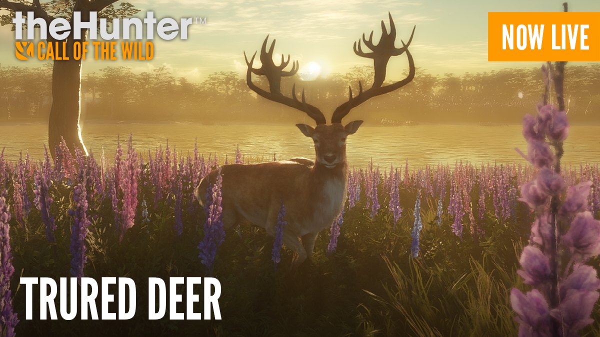 theHunterCOTW Twitter: "[TruRED] - NOW, all Platforms! You now head out into the digital wilderness and harvest these Beautiful TruRACS Red Deer! A full list of Patch notes can