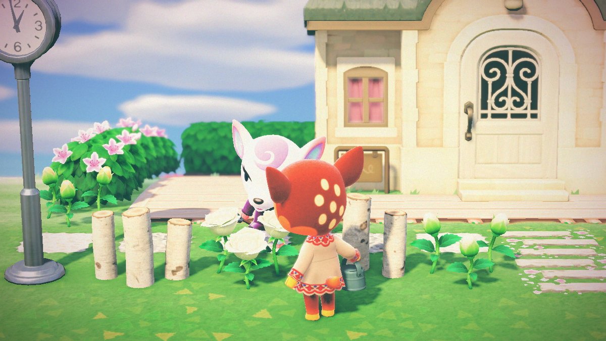 wangruoye's tweet photo. #动物森友会 #AnimalCrossing #ACNH #NintendoSwitch https://t.co/kyJWC8OChP
