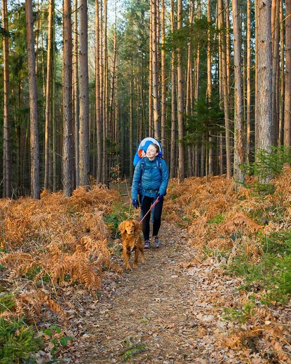Thinking back to hiking in Saxon Switzerland in Germany. We spent a good bit of time there in autumn and in winter and we loved every minute! It is such a beautiful place, with many trails designed for all levels. •
•
•
•
•
#dogsofinstagram #hikingdogsofinstagram #hiking…