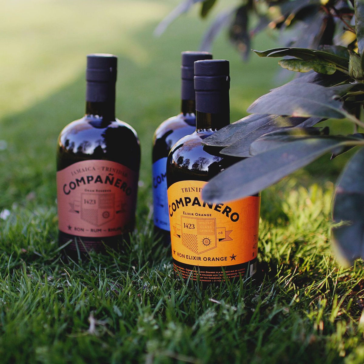 SkylarkSpirits's tweet photo. With this trio of Caribbean rum, you'll get a taste of Trinindad, Jamaica and Panama! 🍊🥥🌴 In times where we're not allowed to travel by plane, we can certainly travel by our senses 🥃 Ron Compañero 

#rumtogether https://t.co/hS6mDpuxwo