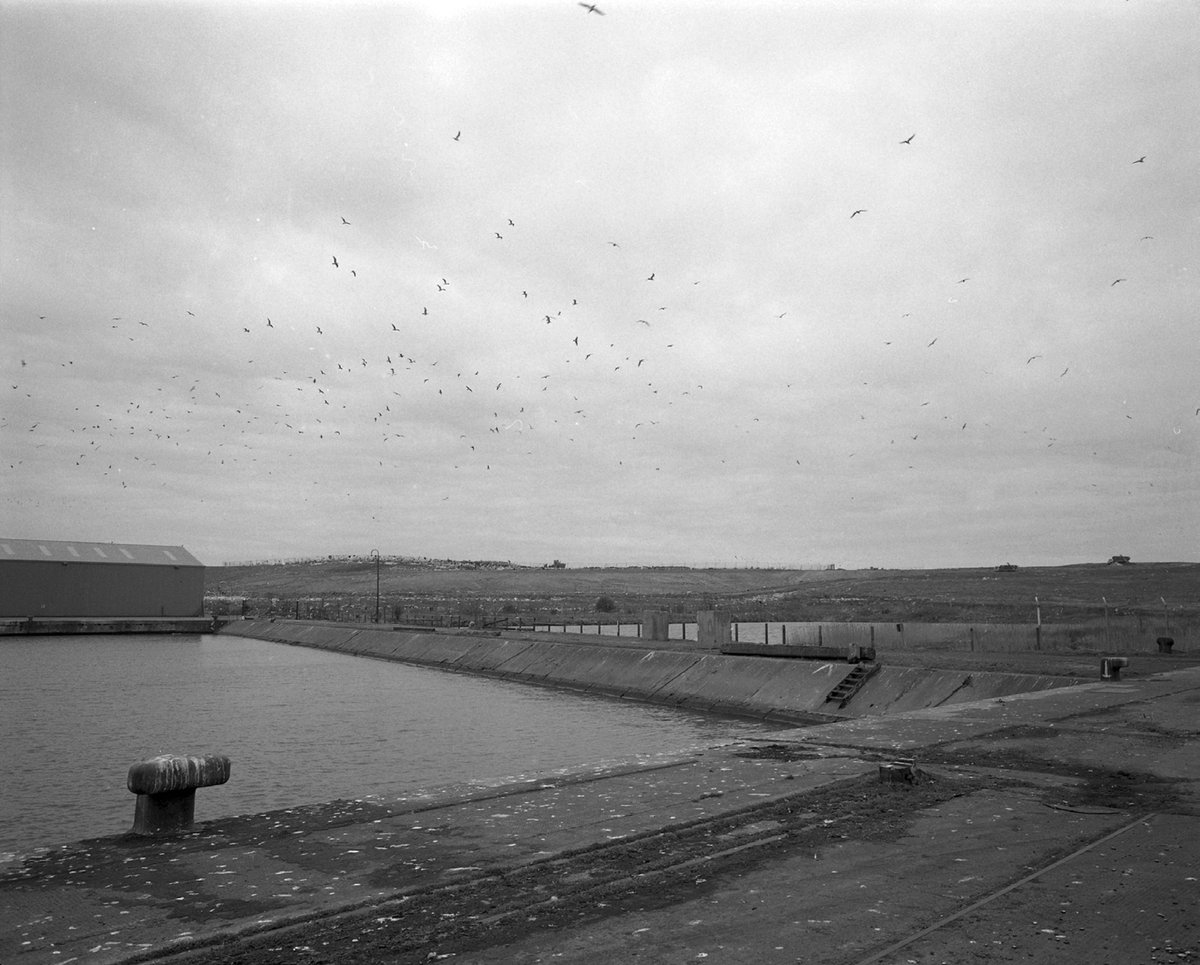 RRBPhotobooks's tweet photo. image from Ken Grant's Benny Profane

https://t.co/D6Se2Mo3xh

#kengrant @kengrantinfo @NorthernNarrat2 #bennyprofane #mersey #bidstonmoss #liverpool #photography #documentaryphotography https://t.co/AR5dppklmD