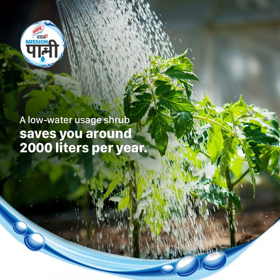 Plants and greenery can be our best allies, if we know how to best make use of them. Know more on how you can help by joining Harpic India-News18 #MissionPaani initiative. Log on to news18.com/mission-paani/ #JalShakti4JanShakti #IndiaJalBachao
<a href="/CNNnews18/">News18</a> @MissionPaani