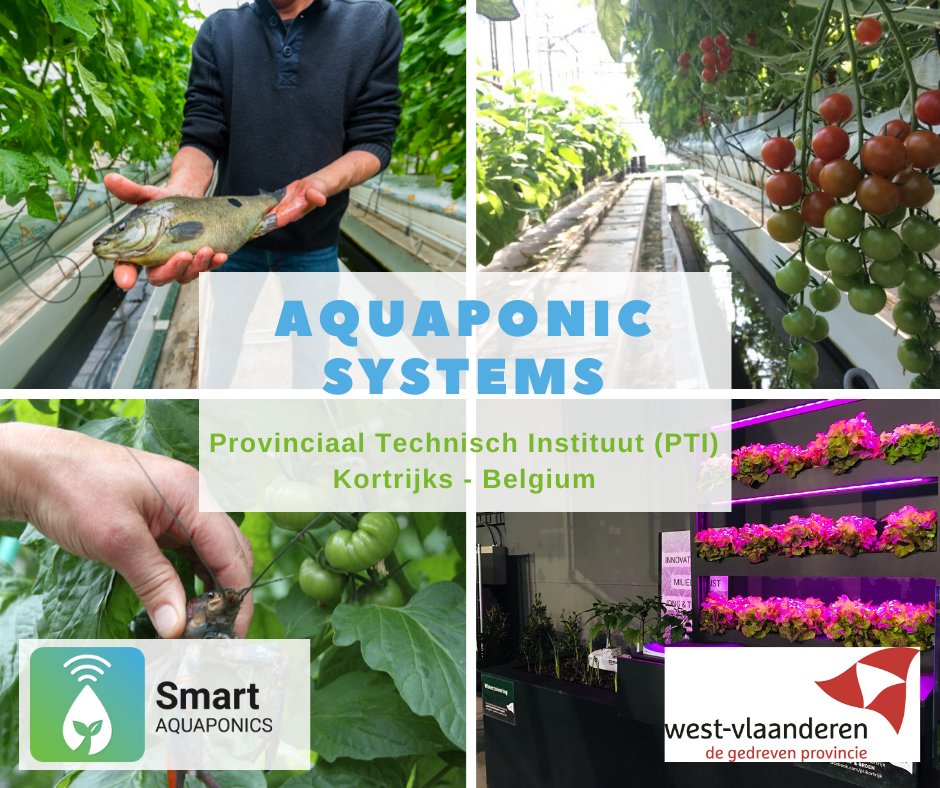 PTI Kortrijk, our partner, gives aquaponics classes to its secondary students in technical agricultural studies!🦞They are collaborating with Odisee on crayfish research.
👉👉tinyurl.com/yclbkp52