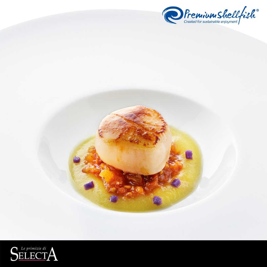 selecta_spa's tweet photo. Le #Cappesante #PremiumShellfish sono frutto di un'accurata selezione effettuata a bordo entro poche ore dalla pesca. Una materia prima naturale che si presta a diventare protagonista di numerose interpretazioni. #ristorazione #cucina #chef https://t.co/3jUrNMq7n5