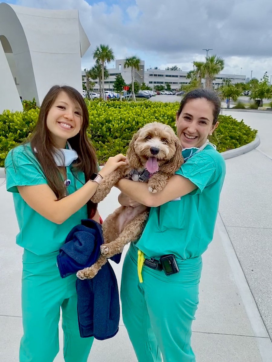 Diana Lopategui tweet media