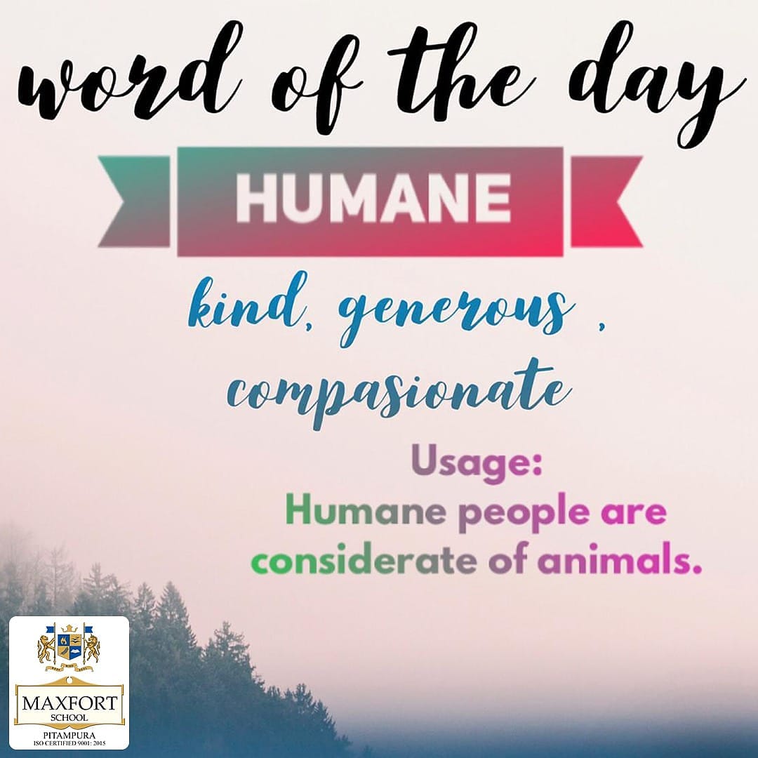 maxfortp's tweet photo. Word of the day!
#wordoftheday #maxfortians #maxfort #maxfortpitampura #bestschool #topschool #bestschoolinpitampura #bestschools #humane #kind #generous #downtime https://t.co/wqlsv6Mv2G