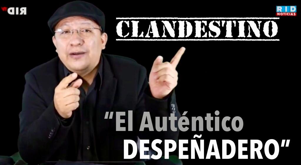 RID Televisión 📺 tweet media