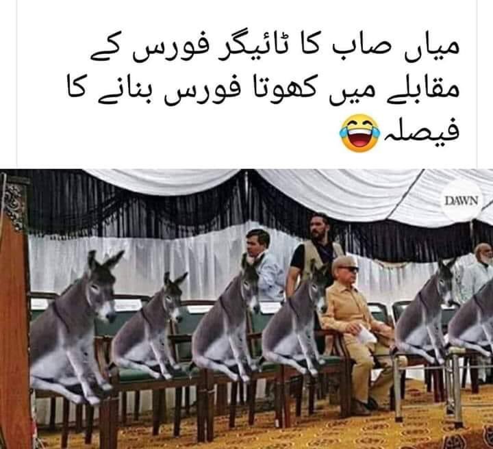 Suneela94345461's tweet photo. @AzmaBokhari Jab patwari khotey ka gosht khatey hen to un ka sarbarah Nawaz and Showbaz &amp; kids donkey kings hen &amp; Maryem donkey queen  #پاک_فوج_ہماری_شان #PTI #Imrankhanpti #IndiaSponsoringBLA #ModiVirusKillingKashmiris #banptm_arrestaliwazir #لفافوں_کوپٹہ_ڈالو #GameOverShowbaz #RIPPMLN https://t.co/aS8mpksHnc
