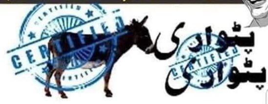 Suneela94345461's tweet photo. @AzmaBokhari Jab patwari khotey ka gosht khatey hen to un ka sarbarah Nawaz and Showbaz &amp; kids donkey kings hen &amp; Maryem donkey queen  #پاک_فوج_ہماری_شان #PTI #Imrankhanpti #IndiaSponsoringBLA #ModiVirusKillingKashmiris #banptm_arrestaliwazir #لفافوں_کوپٹہ_ڈالو #GameOverShowbaz #RIPPMLN https://t.co/aS8mpksHnc