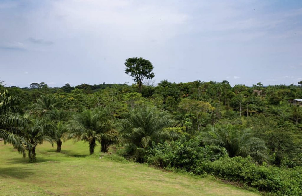 🇬🇦