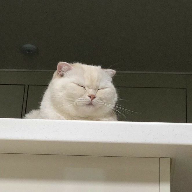 Dekchaikumkom's tweet photo. ทำไมต้องน่ารักขนาดนี้ 🥰 https://t.co/ytlrTybNhe