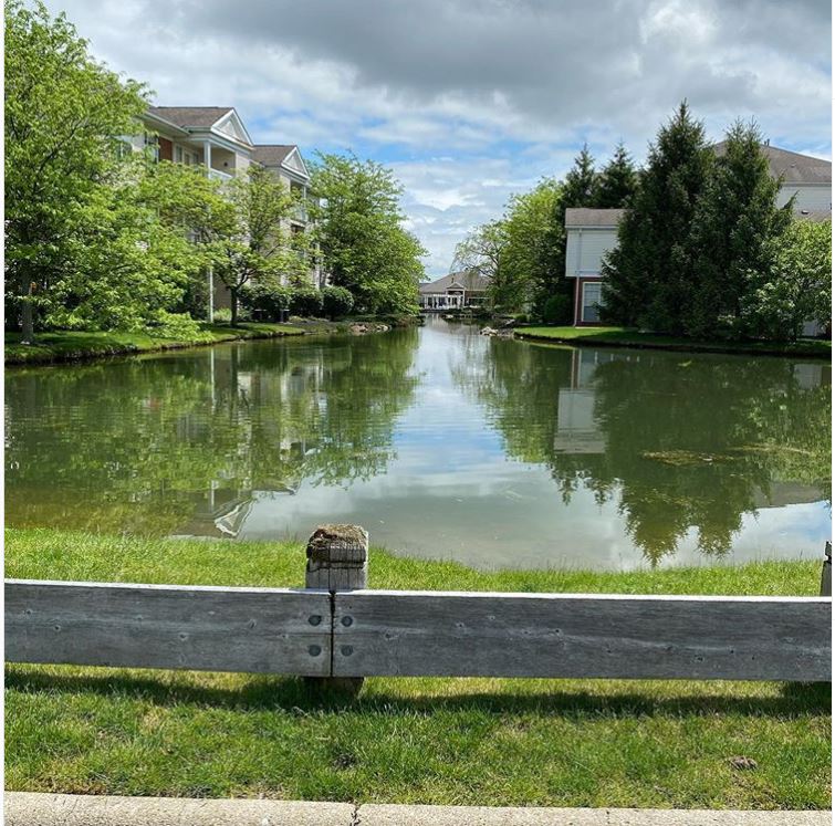 YP4H's tweet image. Keep those weekend photos coming for your chance to win!  Thanks for sharing @rachelarpin and using the #StepIntoSelfCare hashtag.  Week three winners will be announced tomorrow. 
--
"beautiful day for a walk! #stepintoselfcare #theorchard "