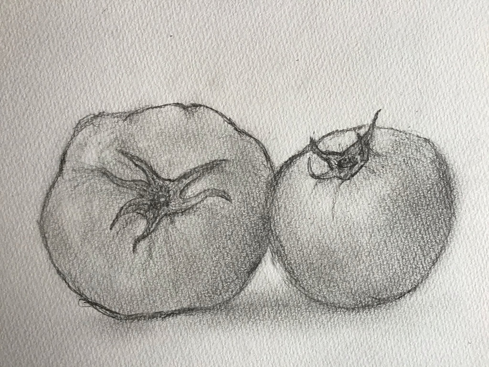 横浜鶴見アトリエアリス En Twitter こども絵画教室 オンライン授業 野菜果物をデッサン 作品提出ありがとうーーー T Co Svgkljymsh オンラインレッスン オンライン授業 小学生 はじめての デッサン 横浜 鶴見 T Co Tp8zvnojuh Twitter