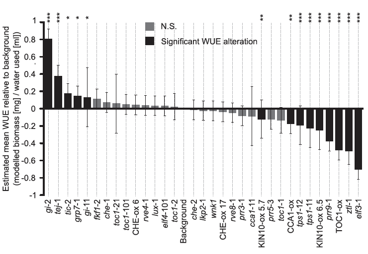 Meisha-Marika tweet media