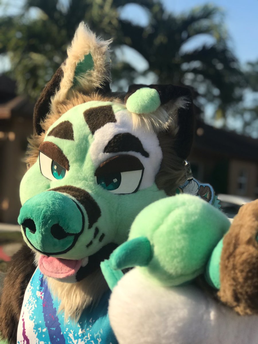 Odyssey ÒwÓ tweet media