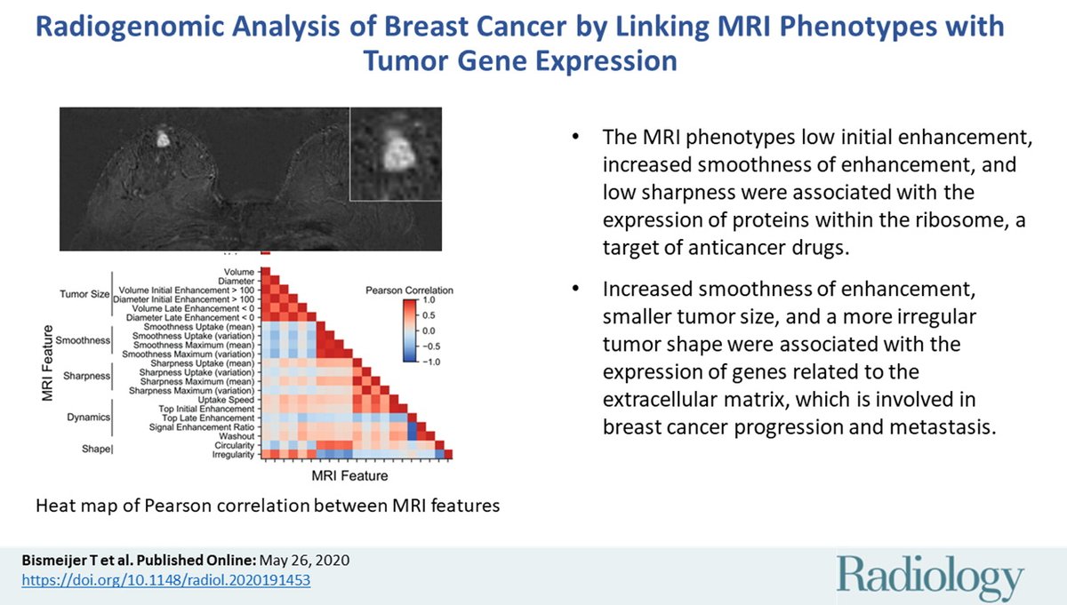 In our latest @radiology_rsna study, we provide biologic interpretation of #breastcancer MRI phenotypes using #radiogenomics: pubs.rsna.org/doi/10.1148/ra… 

Funded by @NWO_TTW