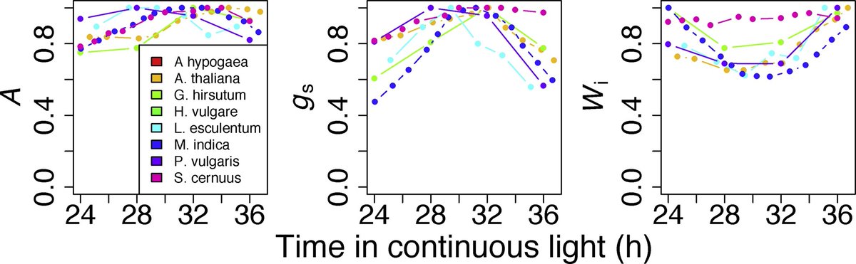 Meisha-Marika tweet media