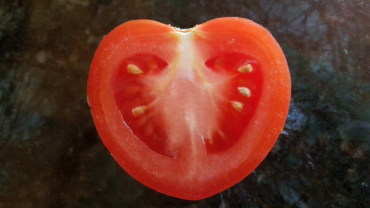 Angela Larson-LePage (@larsonlepage) on Twitter photo #ocsbPhotoChallenge <a href="/StGregoryOCSB/">St. Gregory School</a> Joy in the beauty of nature: a perfect tomato heart. #ocsbPhotoChallenge <a href="/StGregoryOCSB/">St. Gregory School</a> Joy in the beauty of nature: a perfect tomato heart.