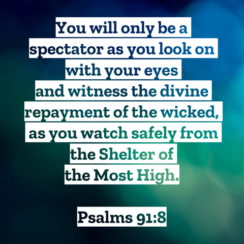 charlieandjill_'s tweet photo. 16 Days of Psalm 91, Day 8! #Psalm91 #16DaysofPsalm91 #Psalm91v8 #ShelterInTHISPlace #ImaSpectatorintheGrandStands #DivineRepayment #SafeInHim #ShelteroftheMostHigh https://t.co/jWXj9zW8K6