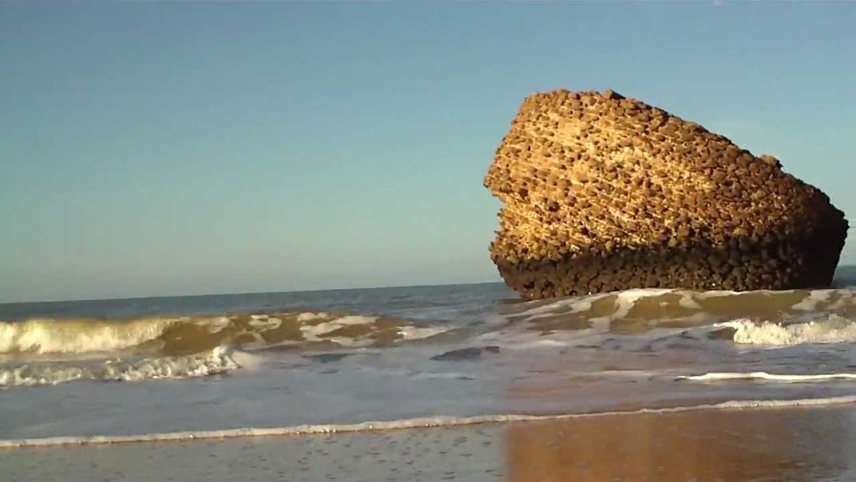 jmanuelcarrion's tweet photo. Permitido el baño en todas las playas de Huelva salvo Matalascañas https://t.co/KrRb4DTCuG @eliteradiosvq @elitediario @ElitediarioC @jmanuelisbylex @jmanuelcarrion @ajimenal1 @auxiguillen66 @manuelgarana @RossellMonica @JMGBautista @VocesdlMisterio @IsbylexA #playas #Huelva https://t.co/VaEwqt1eSf