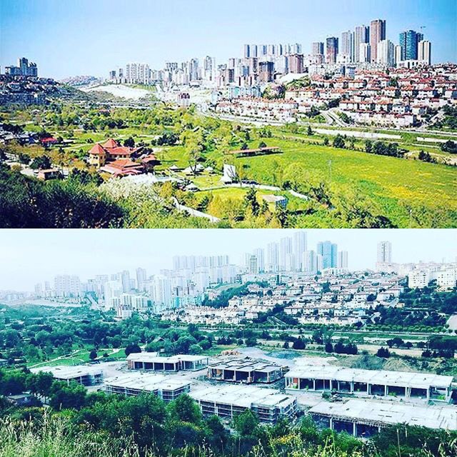 Bahçeşehir Gölet Gönüllüleri tweet media