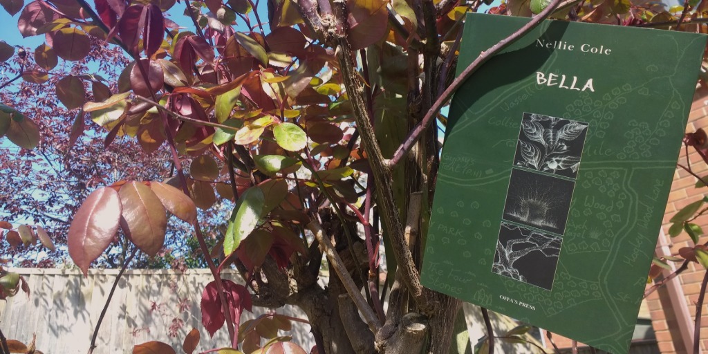 mookychick's tweet photo. Have you read Bella, by @NellieFayeCole the newest member of the team? Well, you should! Find out more about our newest Mook's work by reading a review of her work here: https://t.co/cgdbfQca6W #promo #promotion #teampromotion #bookreview #reading #readingsuggestions #amreading https://t.co/q9Ax1TJMlQ