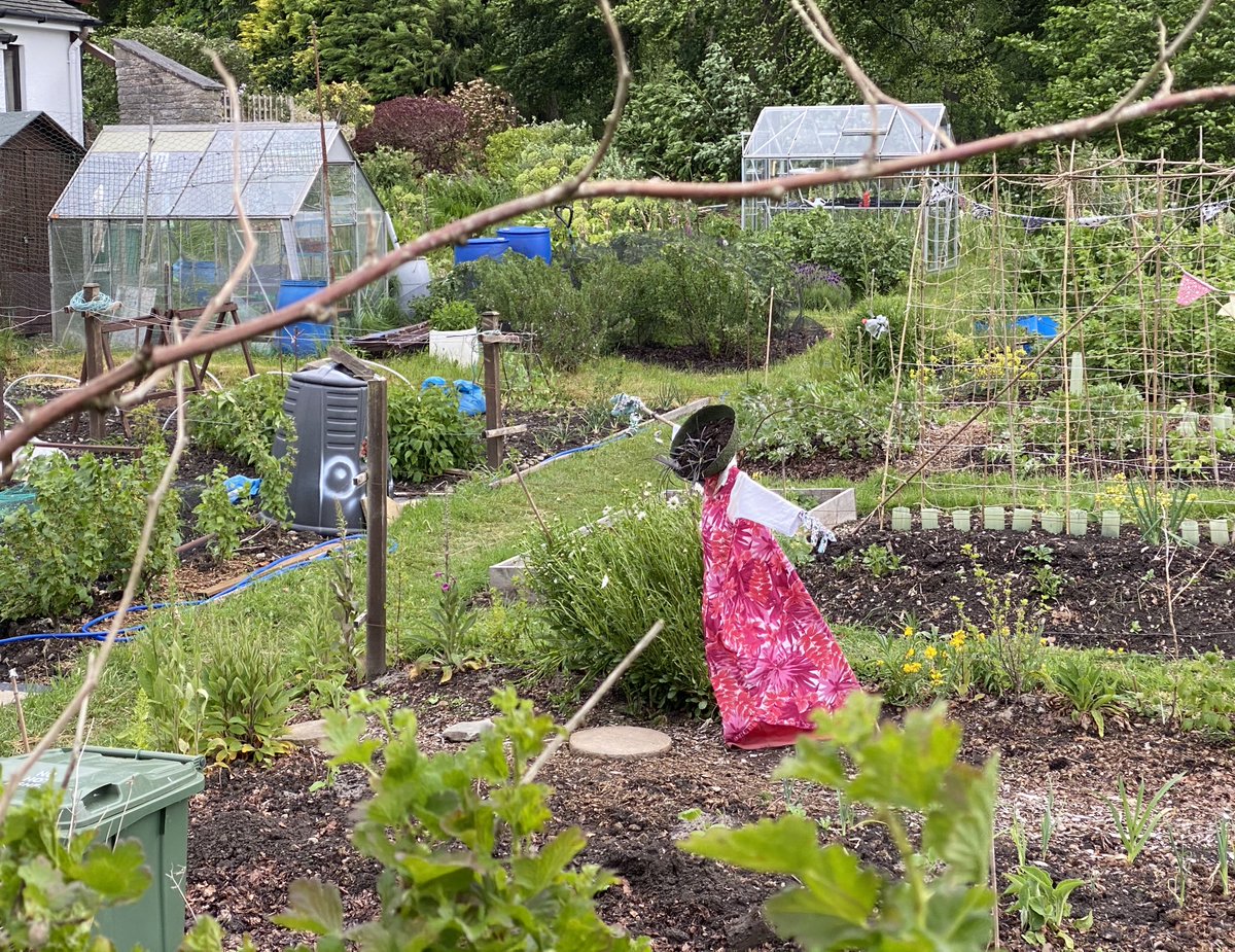 juliadarwen's tweet photo. For this week's #Top4Theme #Top4Quirky - signage at #PerthZoo, a #BulaBus in #Fiji, a pretty quirky scarecrow and a steep path in #Kendal https://t.co/wJwpSjvzmx