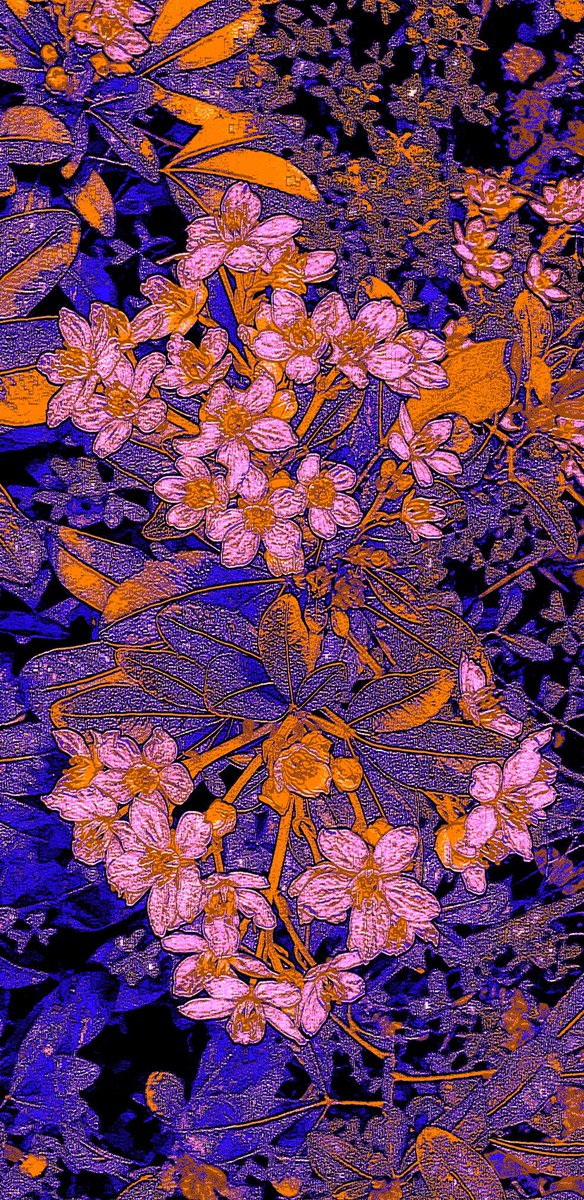 artifyvibes's tweet photo. My new #fabric #designing 
#fabric 
#designing 
#designs 
#designing 
#textile 
#fabricdesign 
#textiledesign 
#ArtistOnTwitter 
#artistic 
#classicdesign 
#fabricdesigner 
#textiledesigning 
#handcrafted 
#patterns 
#newpatterns all at @sayedsdt https://t.co/HctyAWeQKT