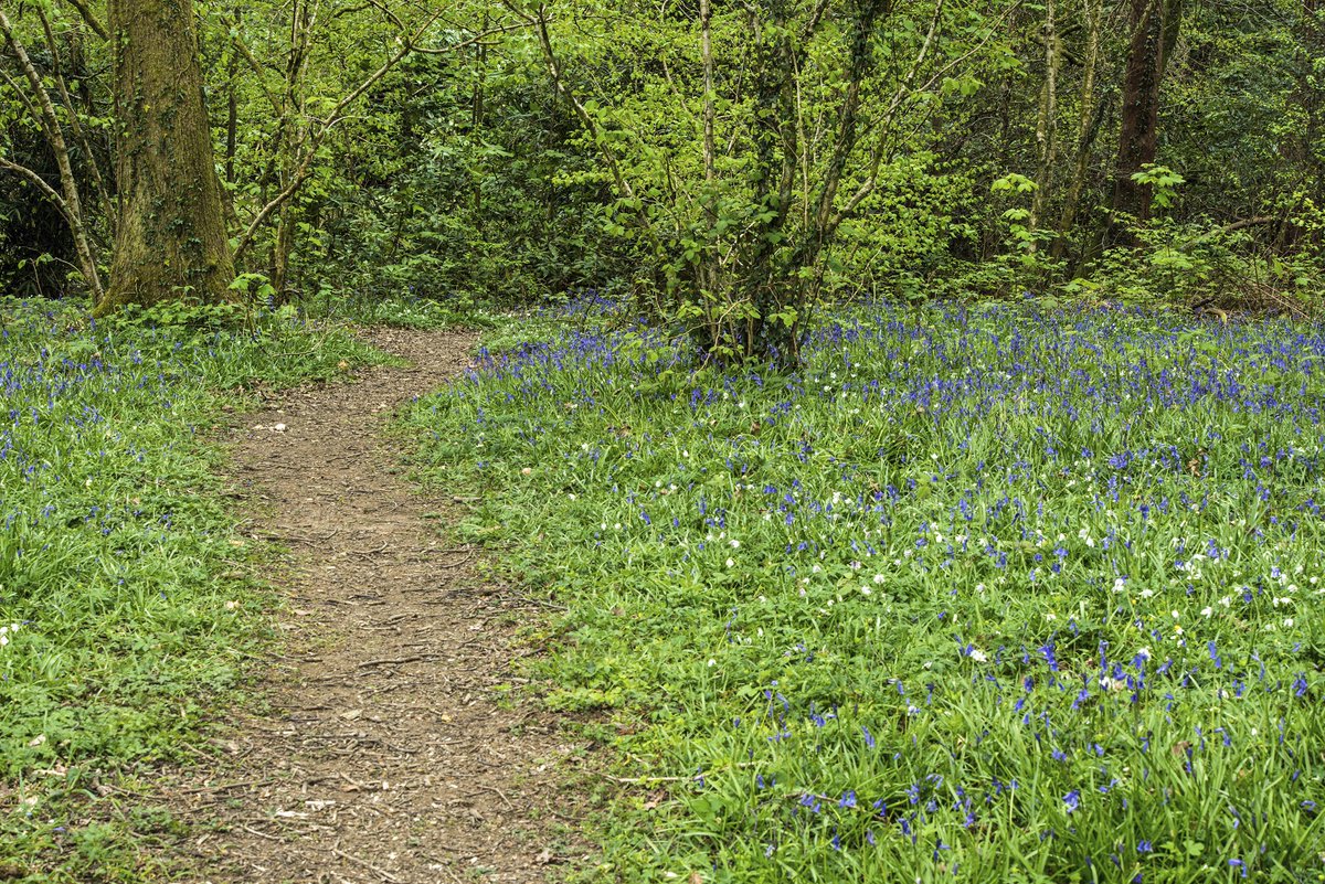 Has the #COVID19 lockdown changed the way you use green and open spaces across #Bridgend? Take part in <a href="/BridgendCBC/">Bridgend CB Council</a>'s Public Services Board survey here: zcu.io/R8iJ