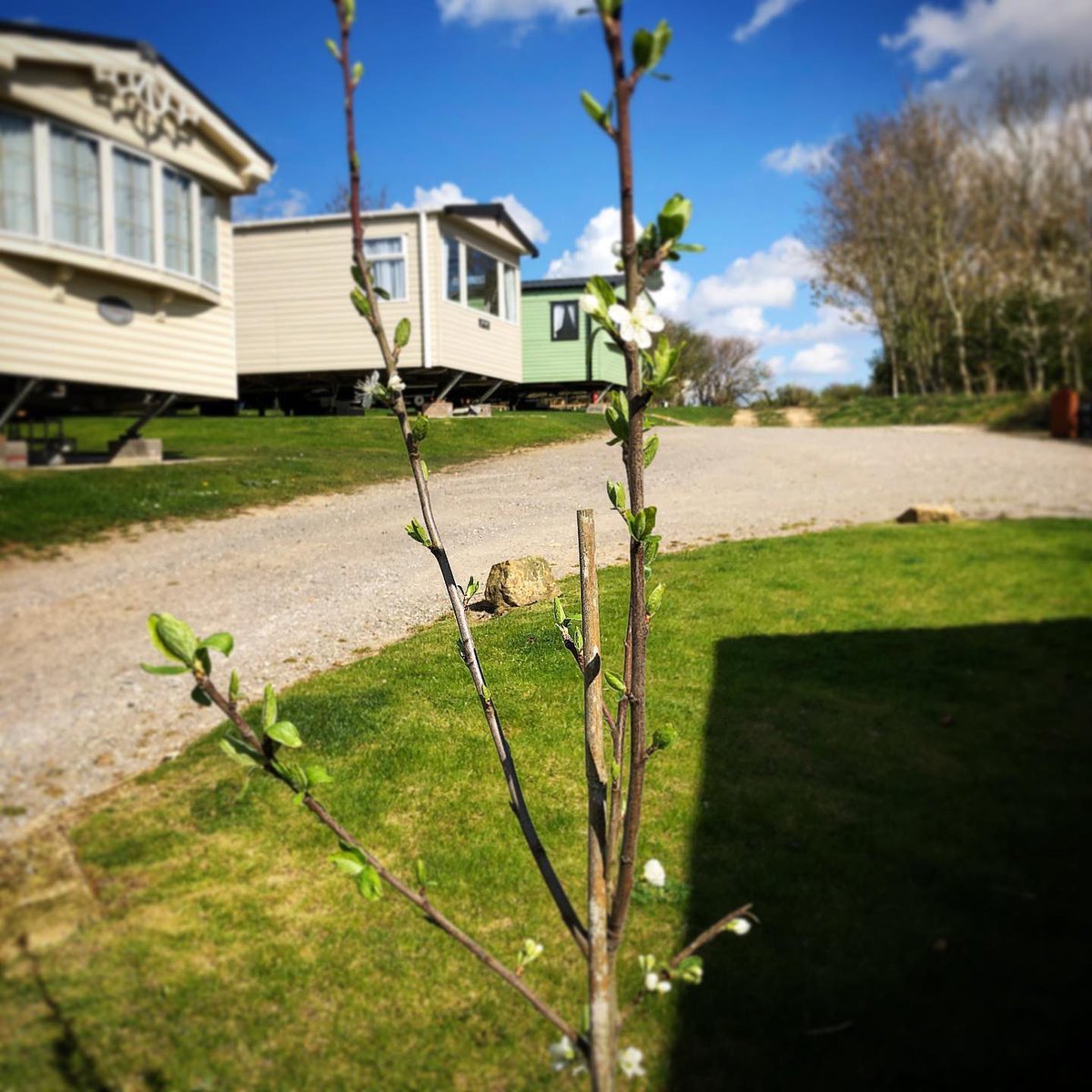 ☀️ Sun is shining on our Hire Fleet today! ☀️ Can’t wait for people to be enjoying them again!

<a href="/idealcaravans/">Ideal Caravans</a> 
<a href="/VCDBusiness/">Visit County Durham</a> 
<a href="/Discover_Durham/">Discover Durham</a>