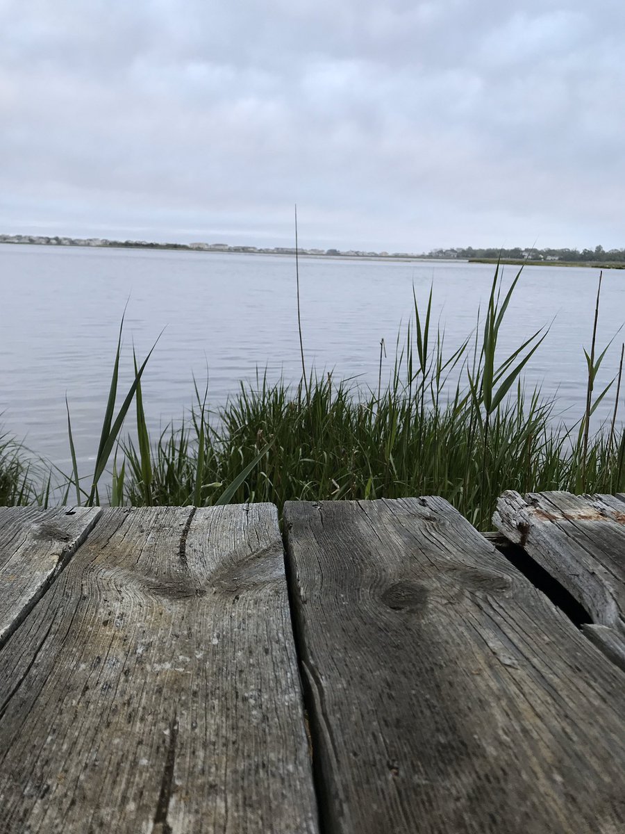 skorminx's tweet image. Thank god for Hartshorne park shits beautiful 😍