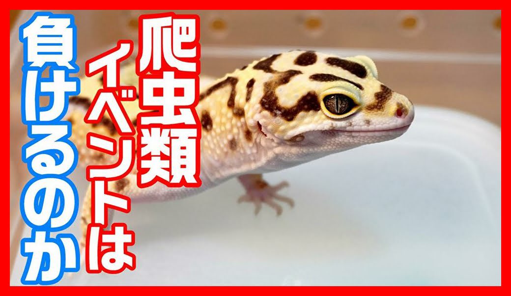 爬虫類 イベント 2020 イベント 2020 爬虫類