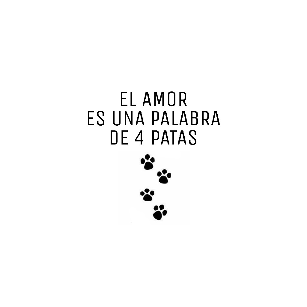 Events4Animals's tweet image. El 💙 amor 💙 es una palabra de 4 patas 🐾
🐕🐈🐎🐂🐃🦌🐖🐐🐑🐏🐇🐀

#animales #veganismo #vegan #govegan #animalistas #amorde4patas #perro #gato #cerdo #vaca #caballo #rata #conejo #oveja #cabra #toro #veganismoesjusticia #seamableconlosdemasanimales