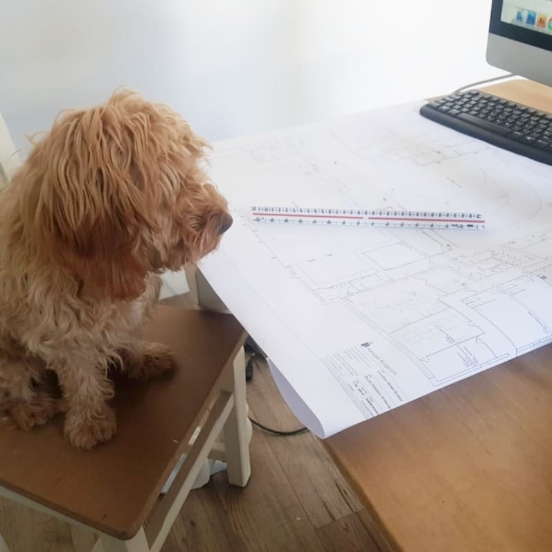 BurgessProjects's tweet image. Looks like Burgess Projects have a new estimator.

The joys of working from home!

Anyone else having this problem? 

#workingfromhome #burgessprojects #staysafe #carpentry #construction #loftconversions #kitchens #newhomeoffice #cockapoo #puppy #commercial #domestic #renovations