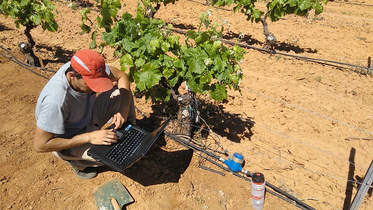 visualNACert's tweet photo. El proyecto #Innobobal sigue adelante, ahora con la instalación de sondas para mostrar cómo realizar un riego eficiente. Un proyecto de @GVAagroambient, @DOUtielRequena, @CoopsAgroCV, @IviaRiegos y #VisualNACert
+ info: https://t.co/jPYBQnw9gk https://t.co/soUUO59y10