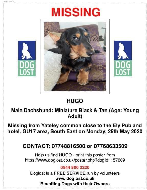 ZoYoEden's tweet photo. #LOST Black & Tan #Dachshund: Miniature Male In #SouthEast #GU17
https://t.co/y3DNj4ULlC
Hugo was spooked whilst walking on Yateley common on 25th May.
SUBSTANTIAL REWARD OFFERED FOR HIS SAFE RETURN
#LostDog #Yateley #Hampshire https://t.co/oUMh0TMEBP