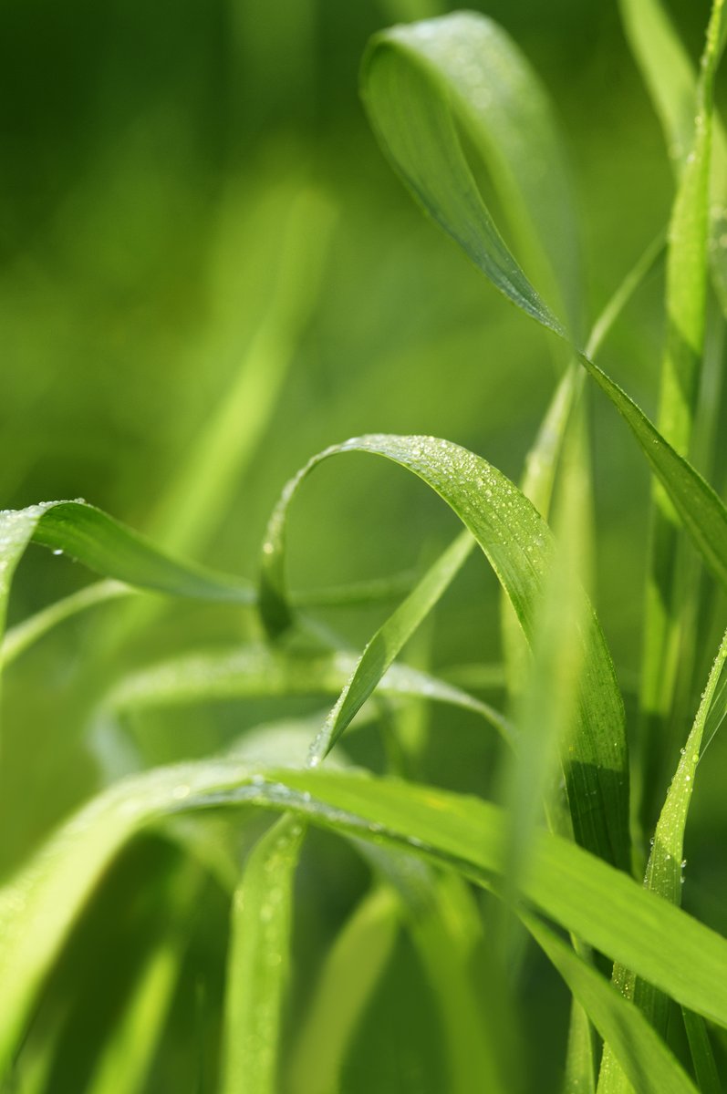 ReclayGroup's tweet image. #PhotosOfMyLife Day 1/7. Jeden Tag ein Foto. Eine Woche lang. Keine Menschen, keine Erklärungen. Jeden Tag eine Einladung, sich zu beteiligen. Danke an @bvsenews. Hello @AxelSubklew