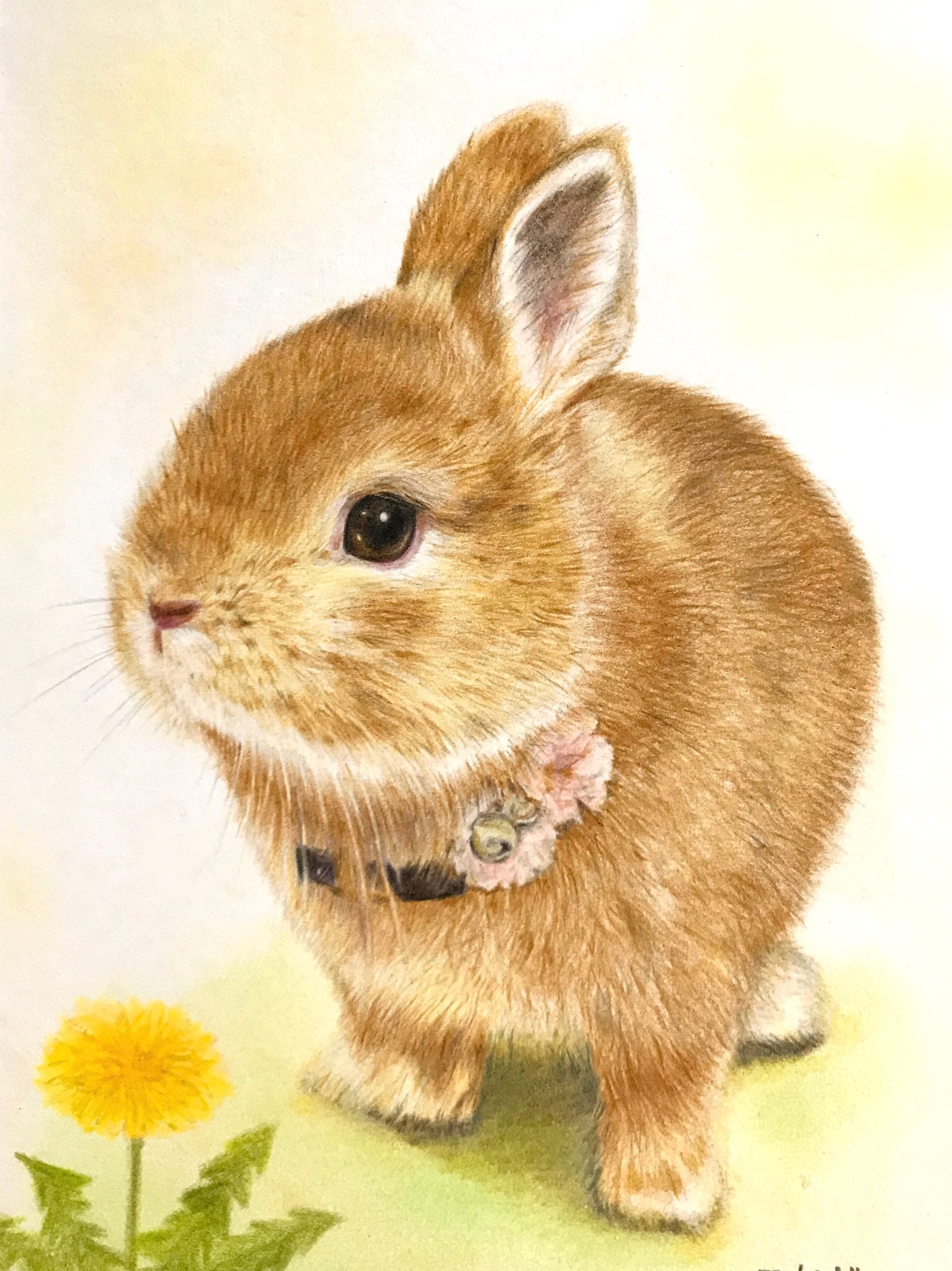 チャロチーノ 色鉛筆でこむぎちゃんを描きました うさぎ こむぎちゃん うさぎ絵 うさぎイラスト うさぎ好きさんと繋がりたい T Co Qncdmgiiih Twitter チャロチーノ 色鉛筆でこむぎちゃんを描きました うさぎ こむぎちゃん うさぎ絵 うさぎイラスト うさぎ好きさんと繋がりたい T Co Qncdmgiiih Twitter