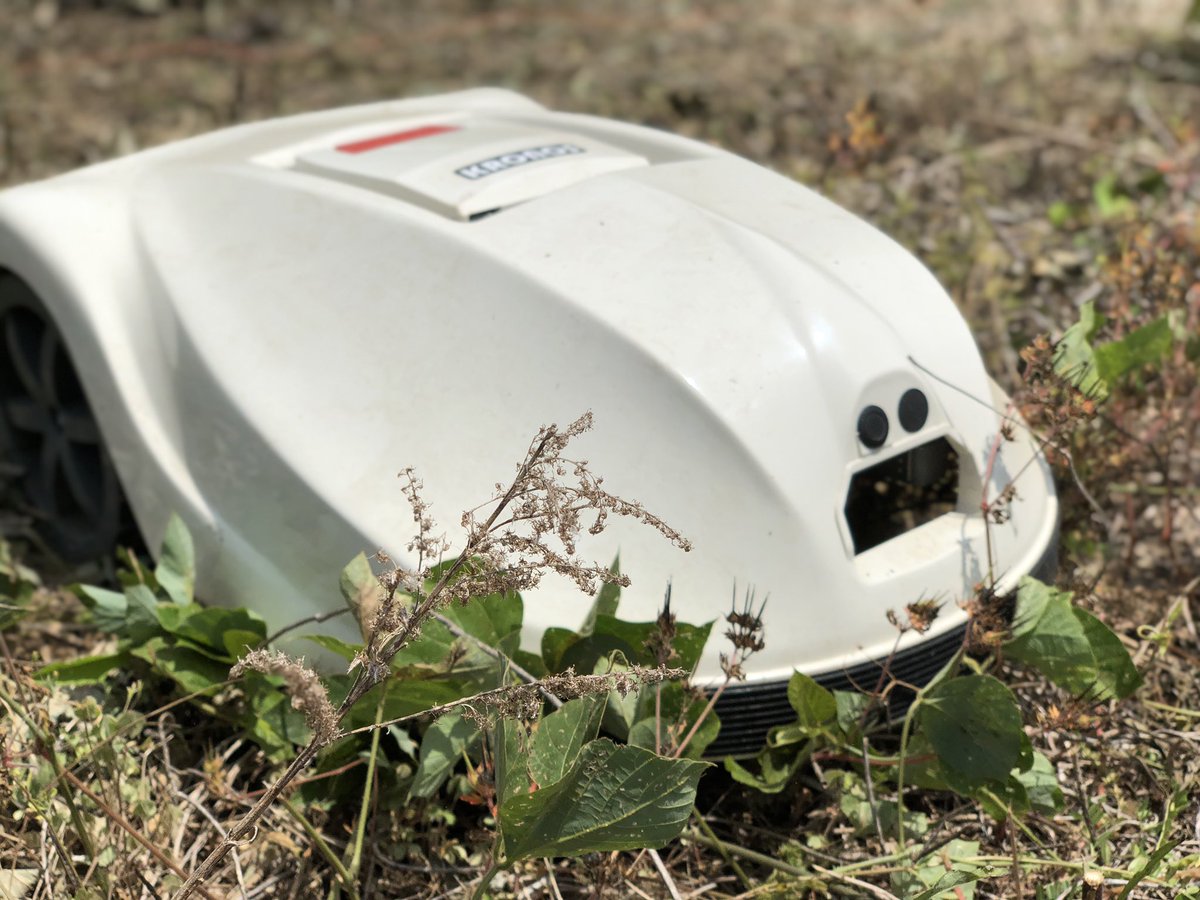 _robot_mowing's tweet photo. ・
想定以上に忙しくなってきた(ノ_＜)
・
クロノスくん頑張るぞ！
・
様々な場所で、自動ロボット草刈機の活躍を観た方々から驚きの声を頂きます。
・
これがまた楽しい(^^) https://t.co/588in3hzg0