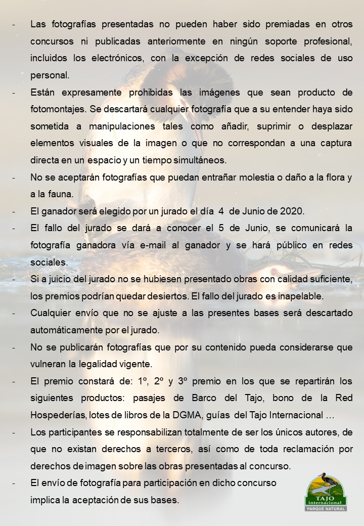 🏅Concurso de Fotografía del Tajo Internacional🏅
Aprovecha las salidas al campo y haz tu mejores fotos, envíanoslas y podrás ganar🏆premios: bono regalo en <a href="/hospederias/">Hosp. Extremadura</a>, pasajes en <a href="/barcodeltajo/">Barco del Tajo</a>, guías de aves del Tajo Internacional
✅Tienes hasta el 31 de mayo de 2020
