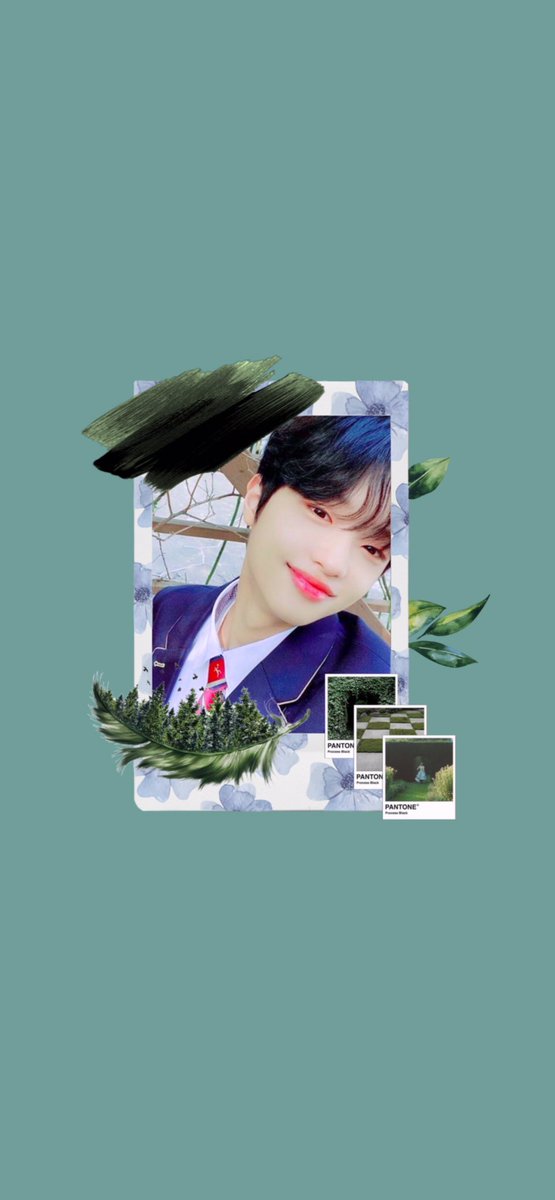 SDP99p's tweet photo. 배경화면 버전🍃🧚

#손동표 https://t.co/YHy5uMtVEv