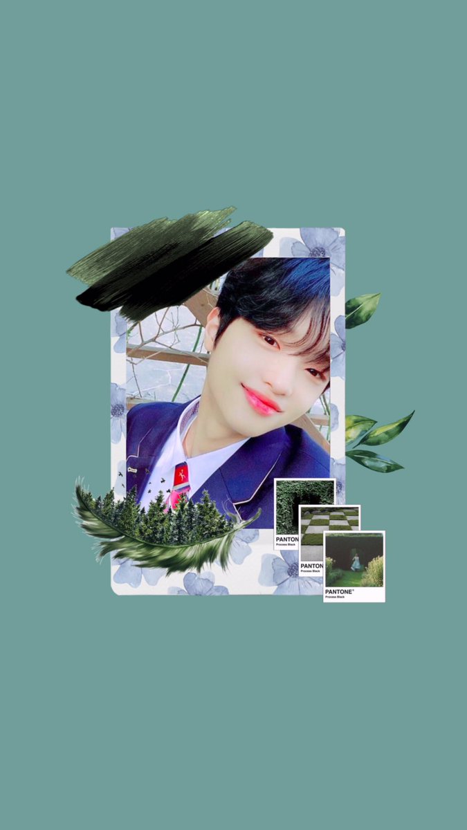 SDP99p's tweet photo. 배경화면 버전🍃🧚

#손동표 https://t.co/YHy5uMtVEv