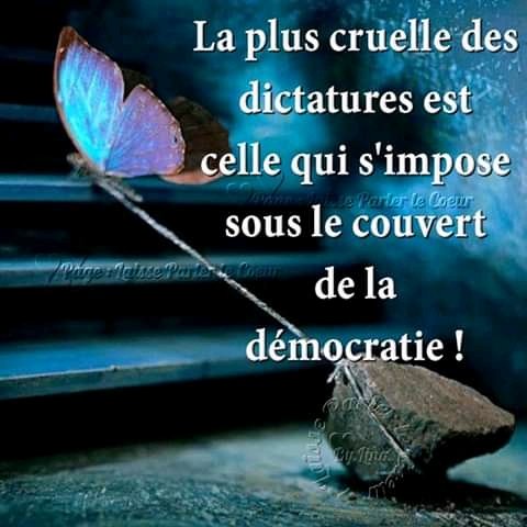 ChabaneKbg's tweet photo. https://t.co/B2VWcOnVX5