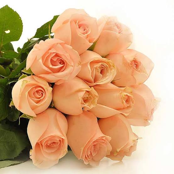 Peach Roses x Rhea #RheaSharma