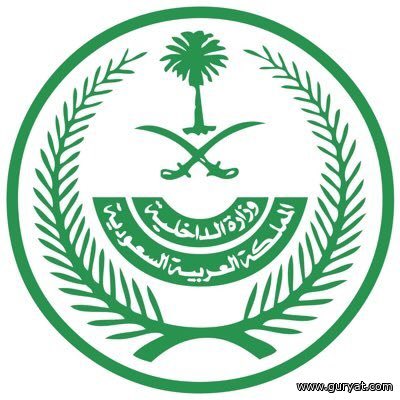 رفع تعليق الحضور للجهات الحكومية وشركات القطاع الخاص والرحلات الجوية الداخلية - أضواء الخليج الإلكترونية - directly newspaper gulflights.net/new/s/73897#.X…