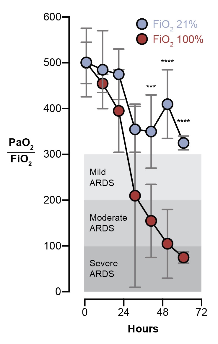 Humans are not an exception. If you take a group of brain dead patients and give half of them 100% FiO2, they'll have severe hypoxic respiratory failure within 3 days. The control group (21% FiO2) will not.(Figure adapted from  https://www.ncbi.nlm.nih.gov/pubmed/4921729 )5/n