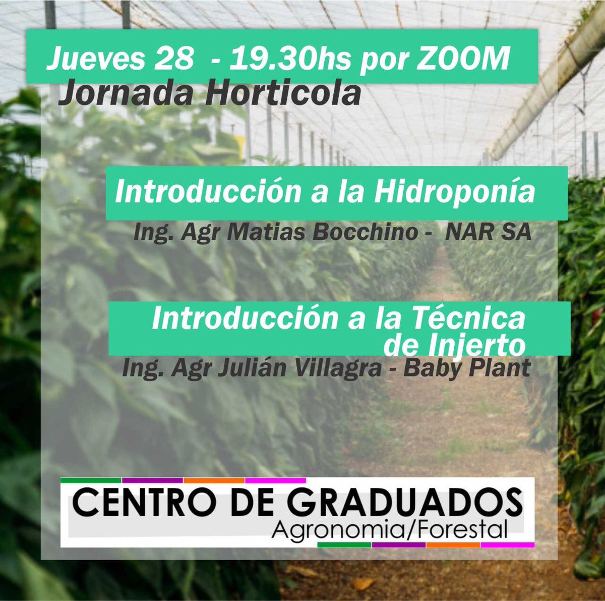 GraduadosFCAyF's tweet photo. 🙌🏻 Este jueves! 🙌🏻

Jornada Hortícola! 🍅🌶🍆 

Escribinos para participar! https://t.co/1mWguQXHXP