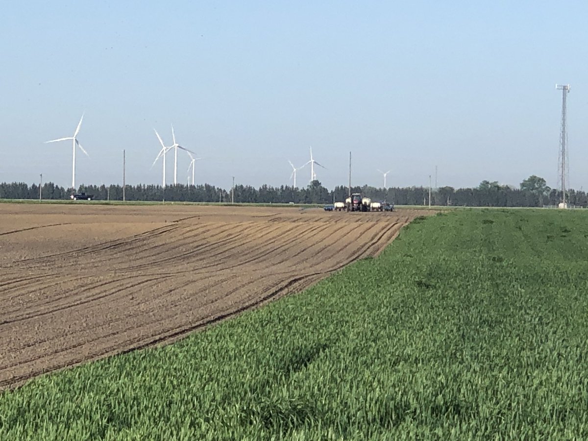jersegeren's tweet photo. Trying to beat the heat this morning by getting things done early. #plotplanting just south of Chatham, and it’s warming up! https://t.co/qukDIERL1W