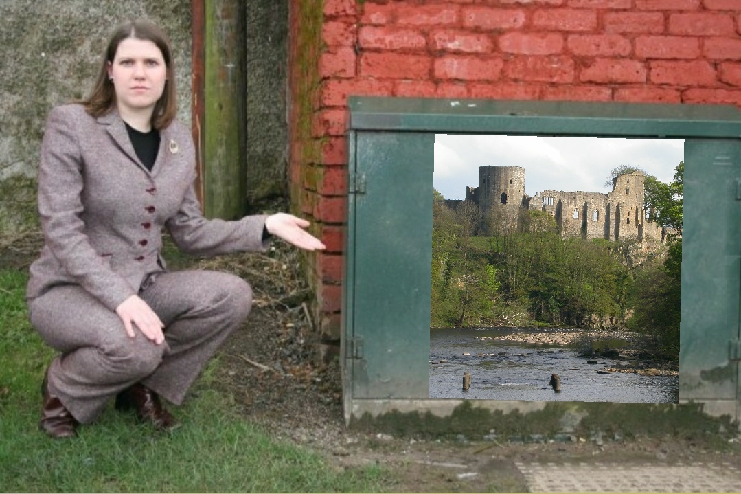 Jo Swinson Pointing at Things tweet media